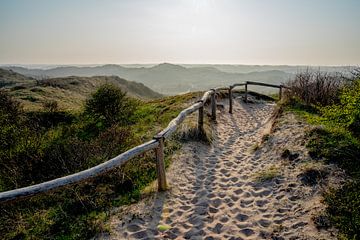 De Egmondse Duinen van Hottentot