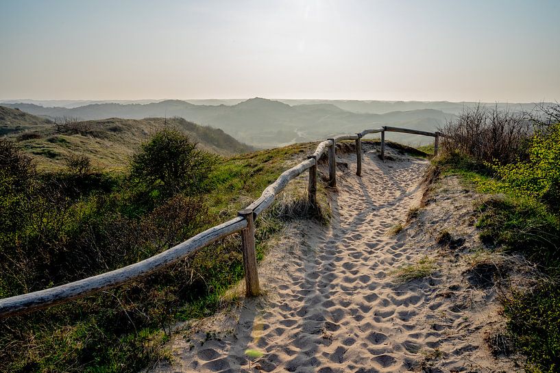 Les dunes d'Egmond par Hottentot