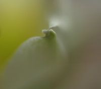 Connection