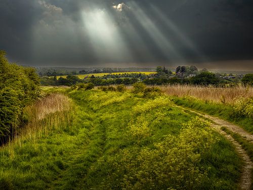Chemin de randonnée près de la rivière Arun