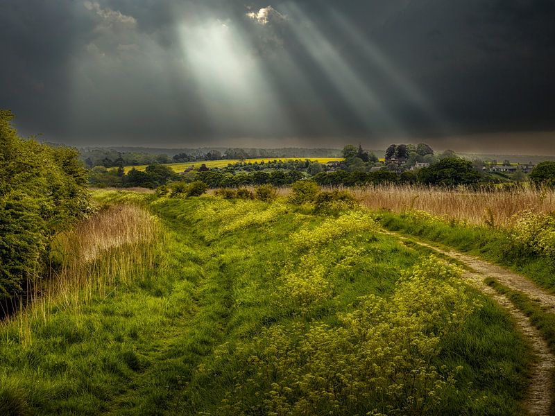 Wandelpad bij rivier de Arun van Luc de Zeeuw