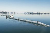 IJs op hekken in de IJssel tijdens een koude winterochtend van Sjoerd van der Wal Fotografie thumbnail