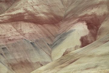 Beschilderde heuvels in het John Day Fossil Beds National Monument bij Mitchell City, Wheeler County van Frank Fichtmüller