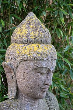 Buddha by Bettina Schnittert