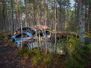 Verrostete, alte Autos, im Wald zurückgelassen