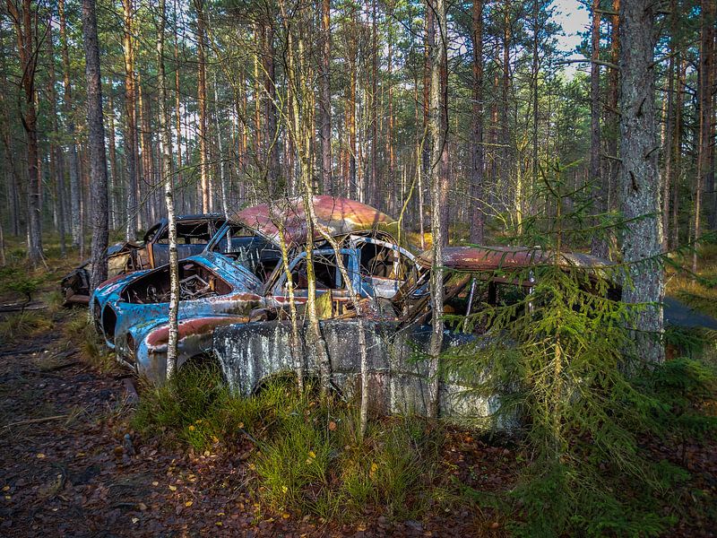 Verrostete, alte Autos, im Wald zurückgelassen von Patrick Verhoef