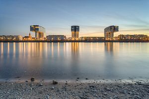 Les grues de Cologne