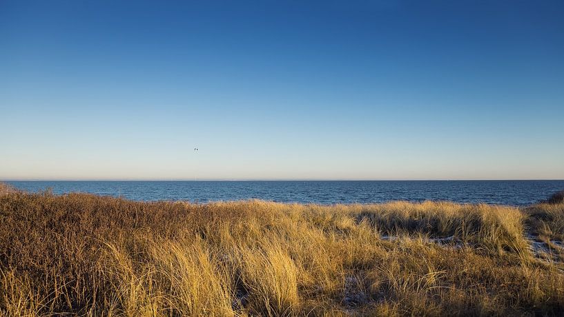 Coast by Bo Valentino