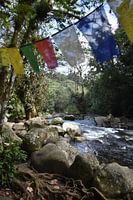 Mexique avec drapeaux tibétains