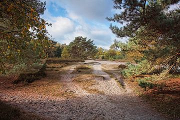 Brunssummerheide sur Rob Boon