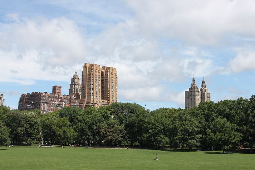Central Park - New York City by Daniel Chambers