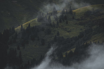 Between Mist and Light