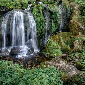 Wasserfall im Schwarzwald von Ramon Stijnen