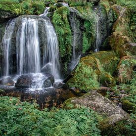 Waterval in het Zwarte Woud van Ramon Stijnen