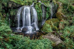 Chute d'eau dans la Forêt-Noire sur Ramon Stijnen