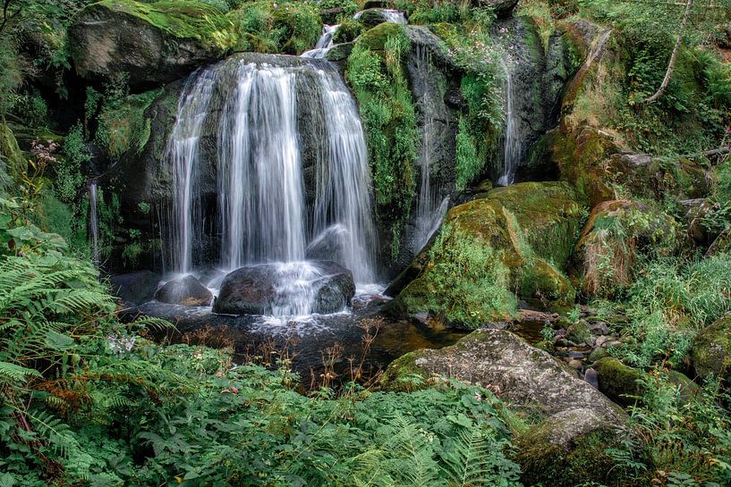 Chute d'eau dans la Forêt-Noire par Ramon Stijnen