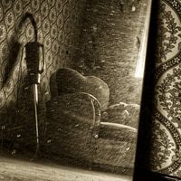 Mirror cleaner