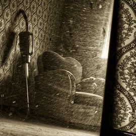 Mirror cleaner