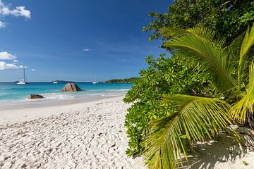 Zandstrand op het eiland Praslin van de Seychellen van Reiner Conrad