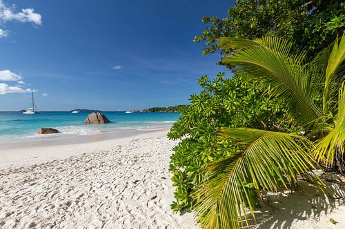 Sandy beach on the Seychelles island of Praslin