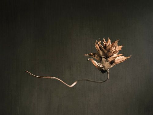 Candela "Eeuwige Vlam" zwevend