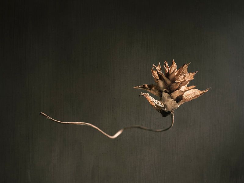 Candela &quot;Flamme éternelle&quot; flottante par Mariska Vereijken