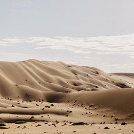 Die sanften Sanddünen von Sossusvlei von Leen Van de Sande