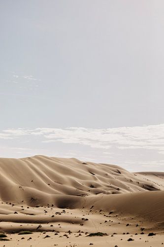 Die sanften Sanddünen von Sossusvlei von Leen Van de Sande