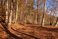 Wandeling langs de Tüttensee