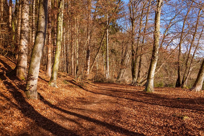 Wandeling langs de Tüttensee van Peter Baier
