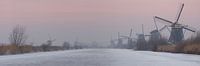 Kinderdijk at dawn