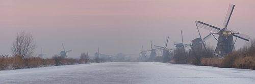 Kinderdijk at dawn