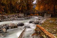 Best Picture of the Swiss trip _