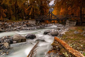 Best Picture of the Swiss trip _ by Tomasz_best_shots