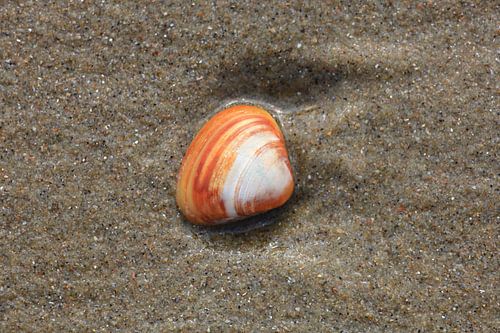 Nordseeküste in Holland