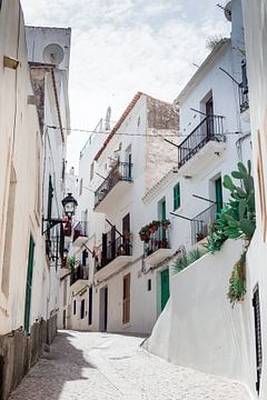 Ibiza-stad van Sharona Sprong