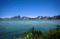 Sydney Skyline overdag | Panorama van Ricardo Bouman thumbnail