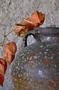 Stilleven met Physalis: oranje lampion plant van Affect Fotografie thumbnail