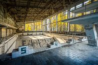 Schwimmbad "Lazúrnyj" oder Azurblau in Pripjat in der Nähe von Tschernobyl von Karl Smits Miniaturansicht