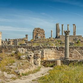 Römische Ruinen in Volubilis, Marokko von Patricia Hofmeester
