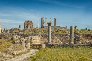 Römische Ruinen in Volubilis, Marokko