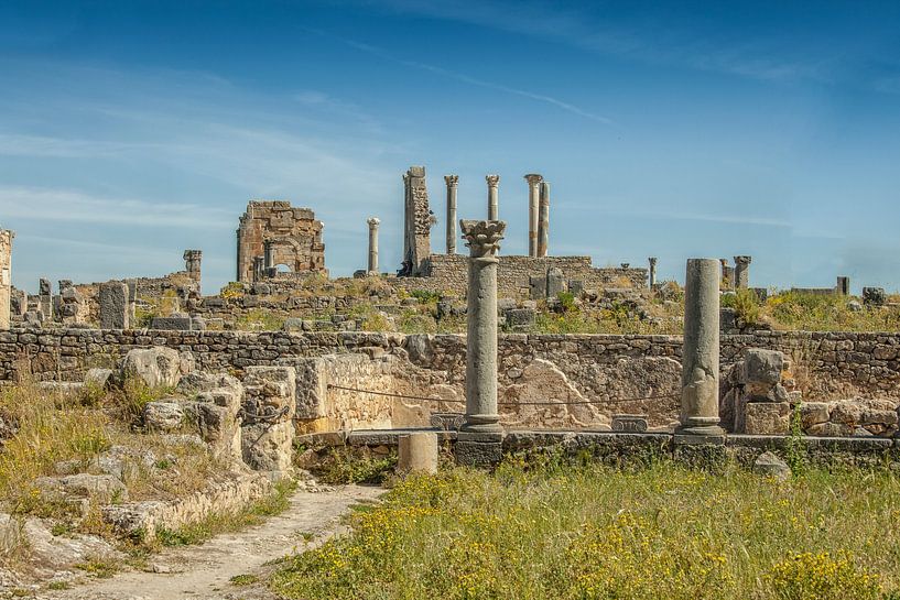 Römische Ruinen in Volubilis, Marokko von Patricia Hofmeester