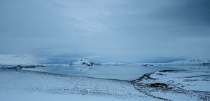 Lake Myvatn IJsland van Wim Westmaas