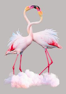 Flamingo's love dance