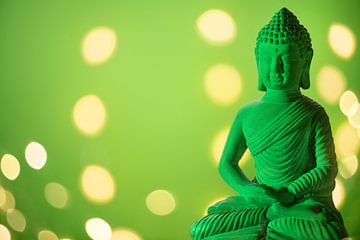Green Buddha - Meditation in the light