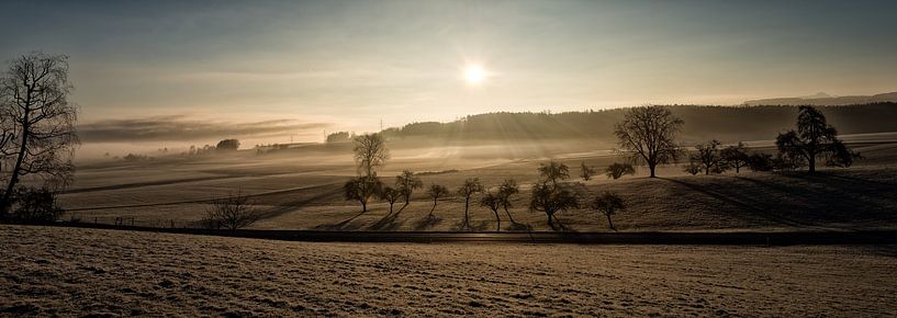 Wintermorgen von Felix Kammerlander