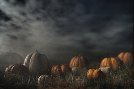 Kunstwerk: Halloween-Kürbisse auf einem nebligen Feld bei Nacht von Jelena Jovanovic Fine Art