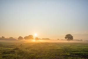 Lever de soleil atmosphérique brumeux à Nieuwstadt