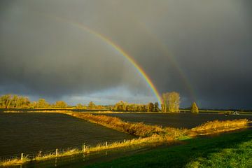 Regenbogen über dem Fluss IJssel