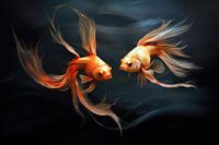 Golden Splendour - Two Goldfish with Dark Background